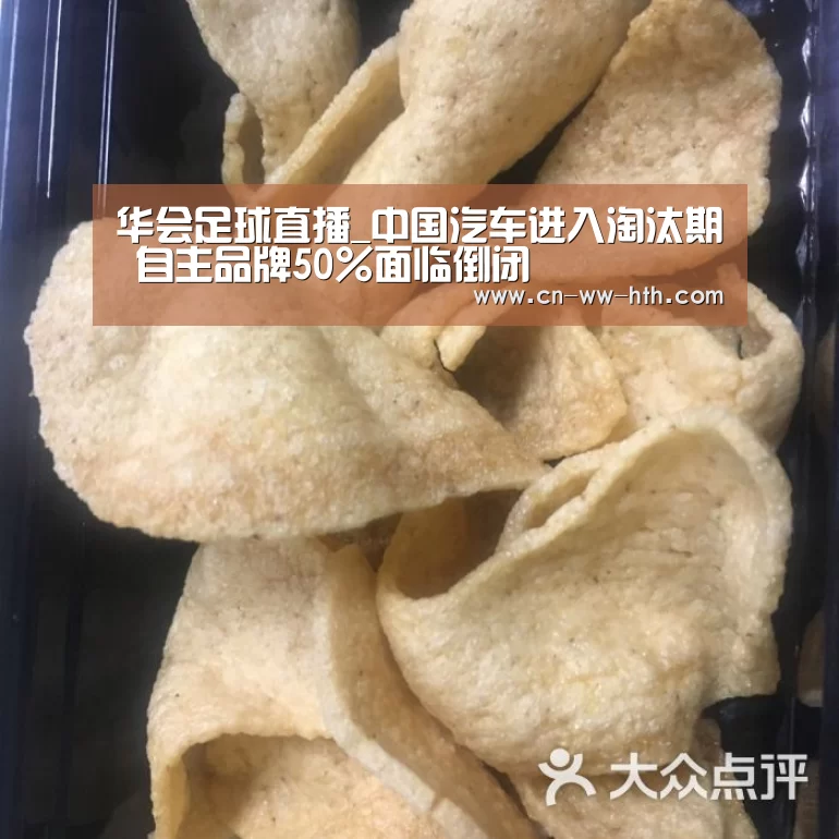 华会足球直播_中国汽车进入淘汰期 自主品牌50%面临倒闭(图1) 华体会体育直播
