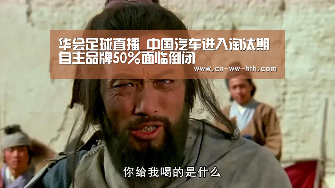 华会足球直播_中国汽车进入淘汰期 自主品牌50%面临倒闭(图2) 华体会直播